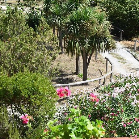 Fondo Santa Lucia Διαμέρισμα SantʼAgata sui Due Golfi Εξωτερικό φωτογραφία