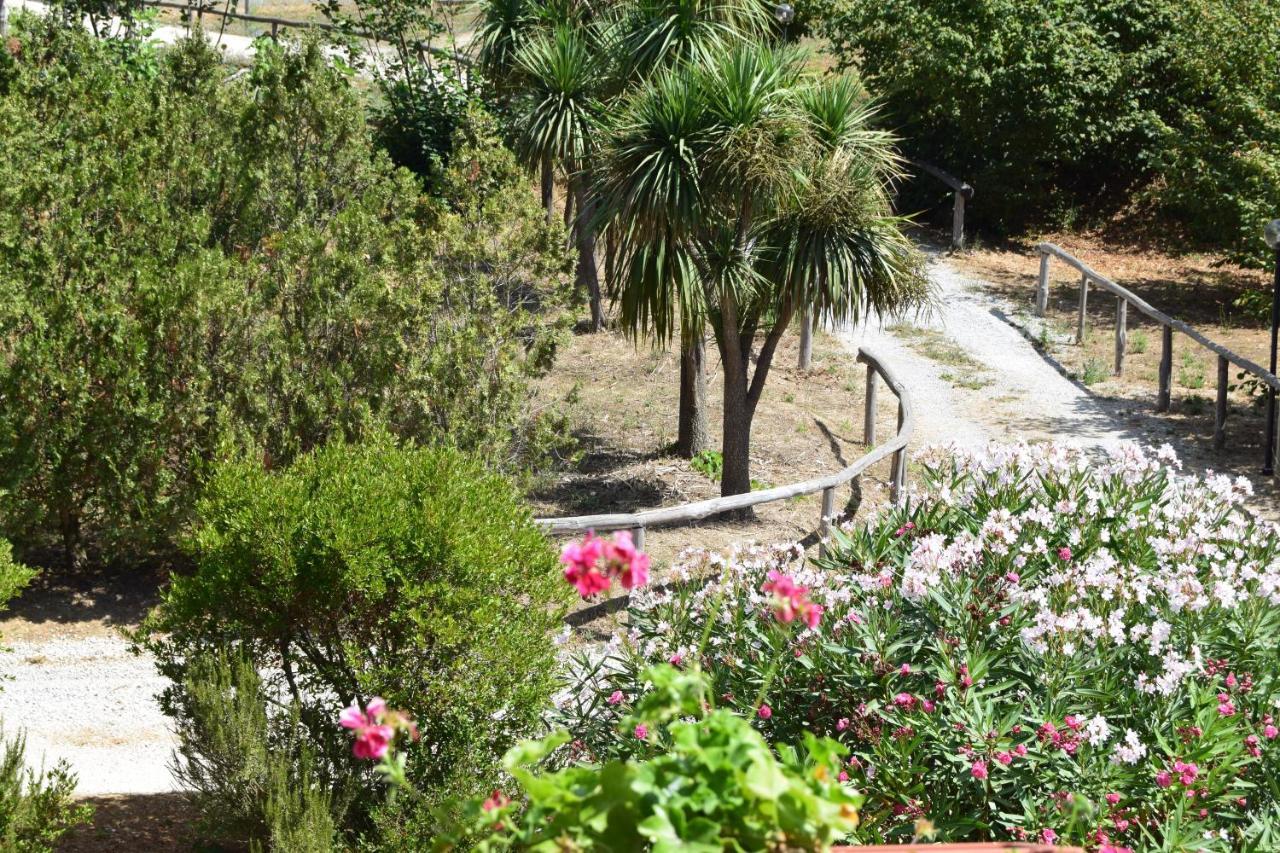 Fondo Santa Lucia Διαμέρισμα SantʼAgata sui Due Golfi Εξωτερικό φωτογραφία